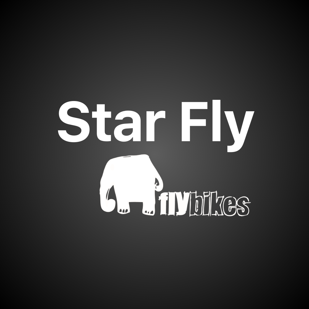 Star Fly Bike