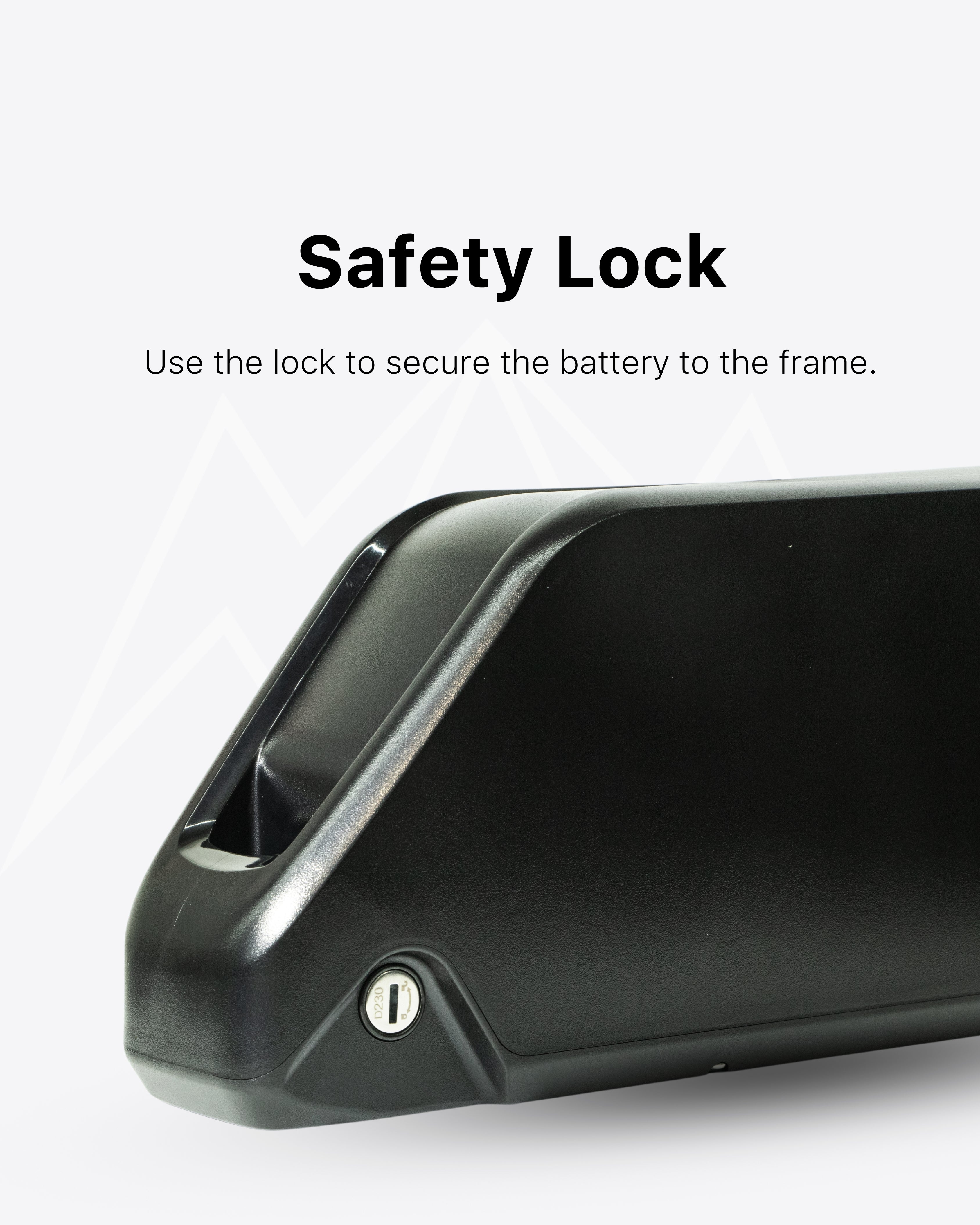 Tesway X5 Battery Pack