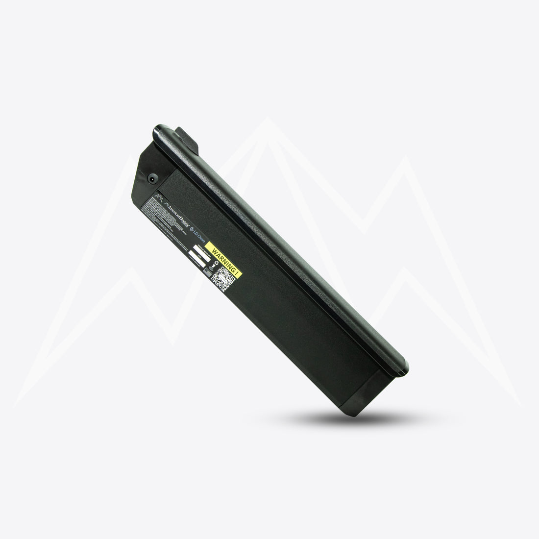 Rize Leisure Step Battery Pack