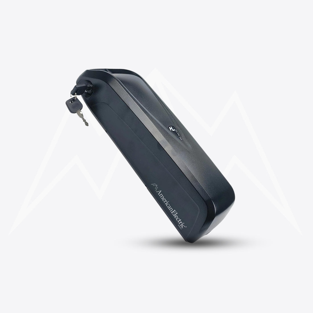 Ecotric Rocket Battery Pack