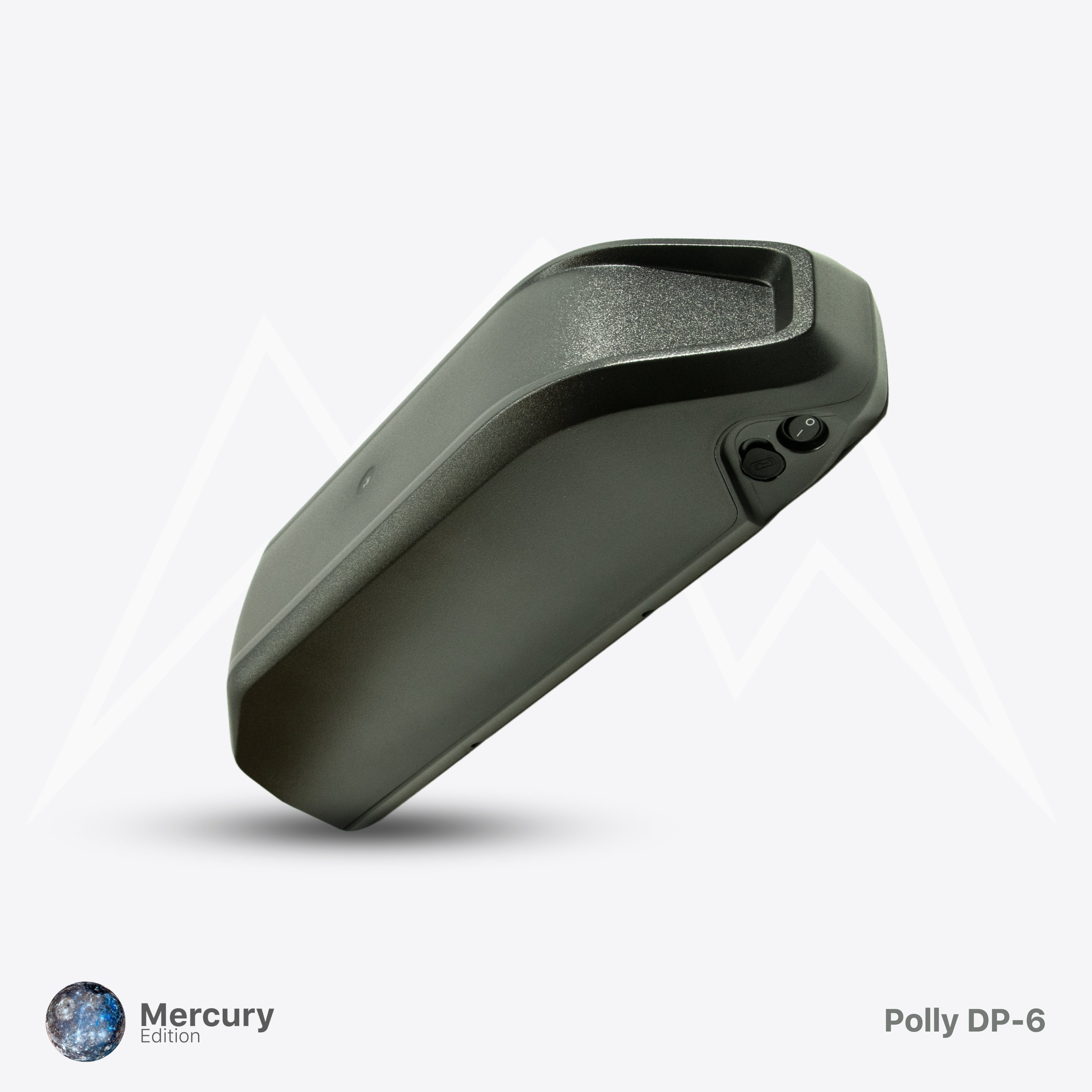 Polly DP-6 Battery Case