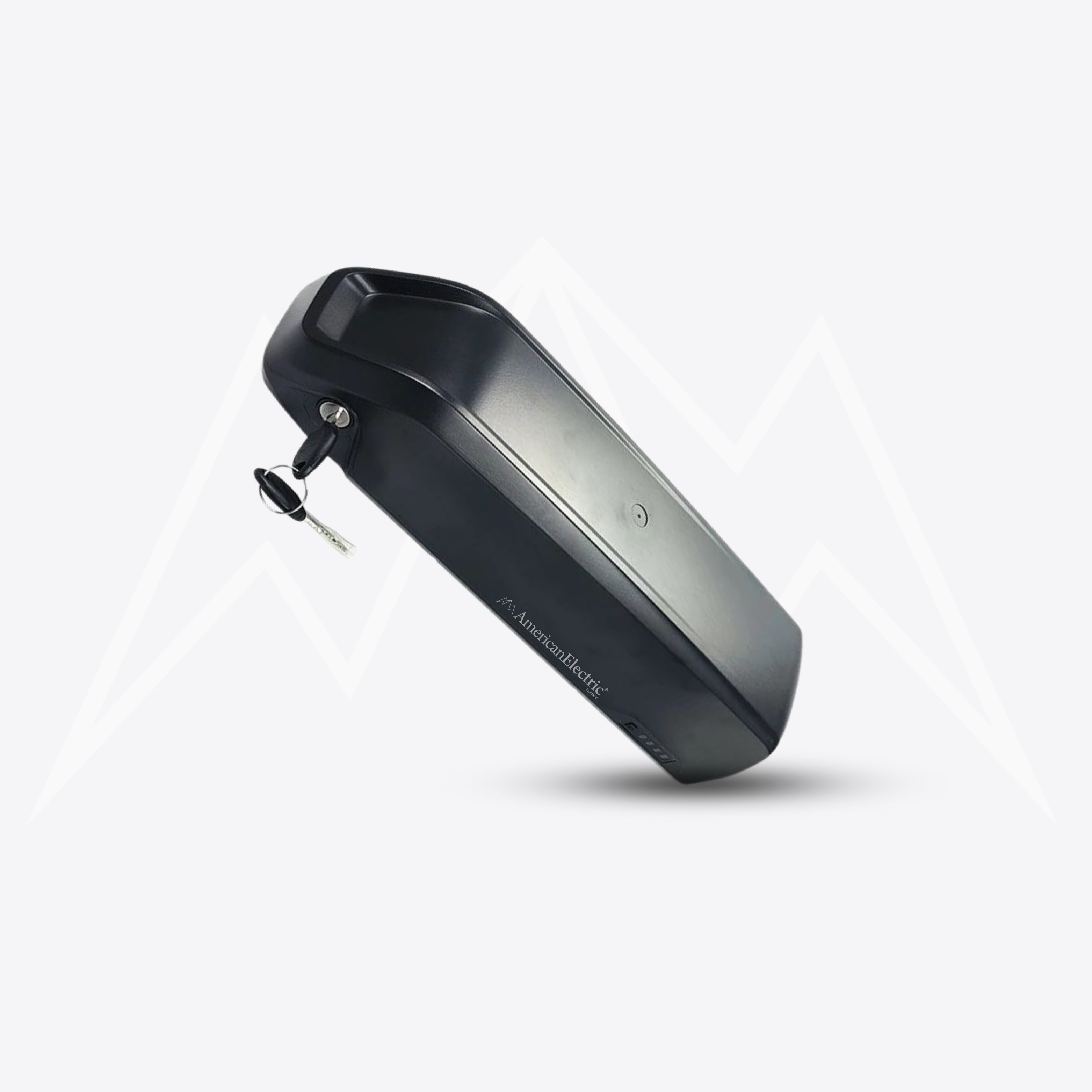 Tesway S5 Battery Pack