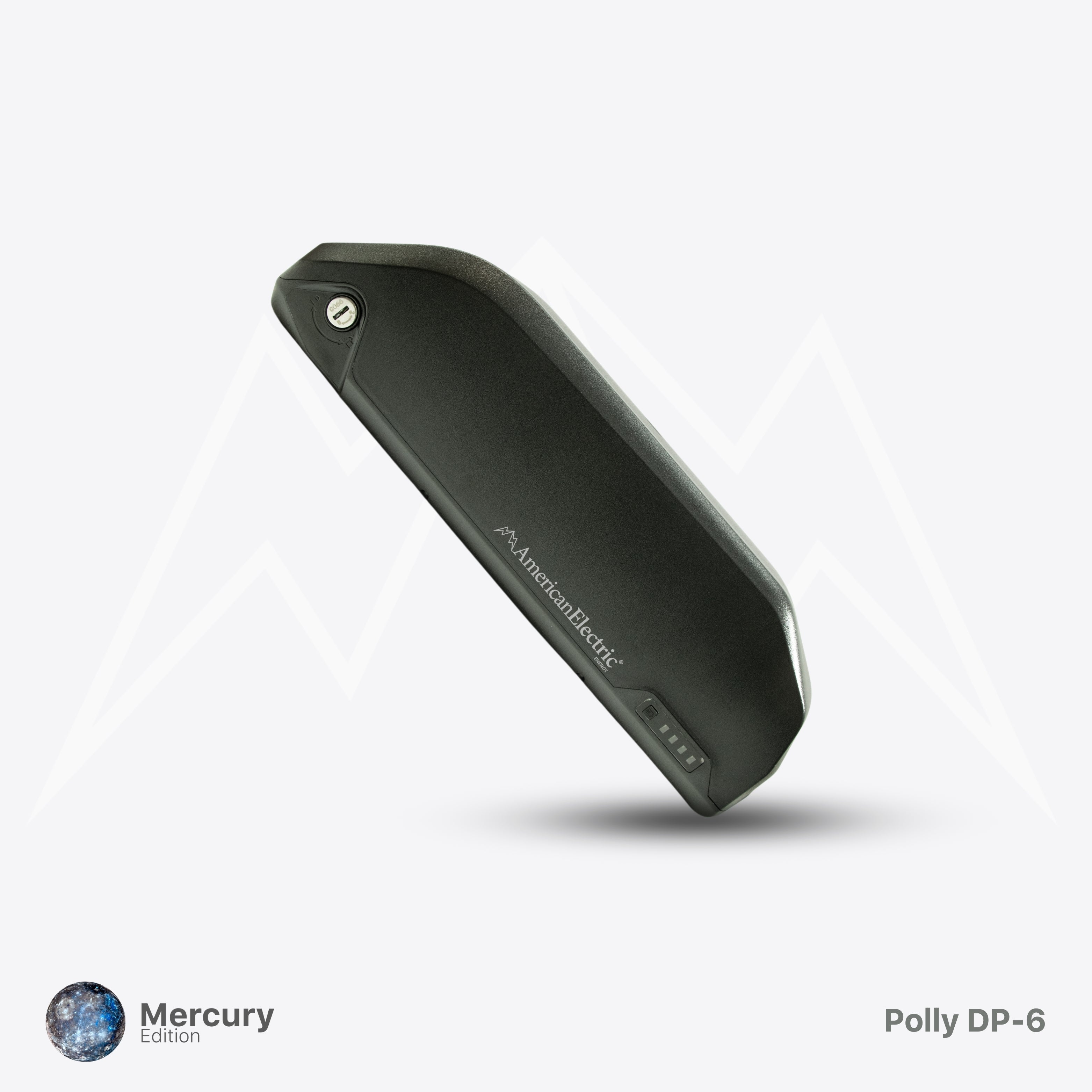Polly DP-6 Battery Case