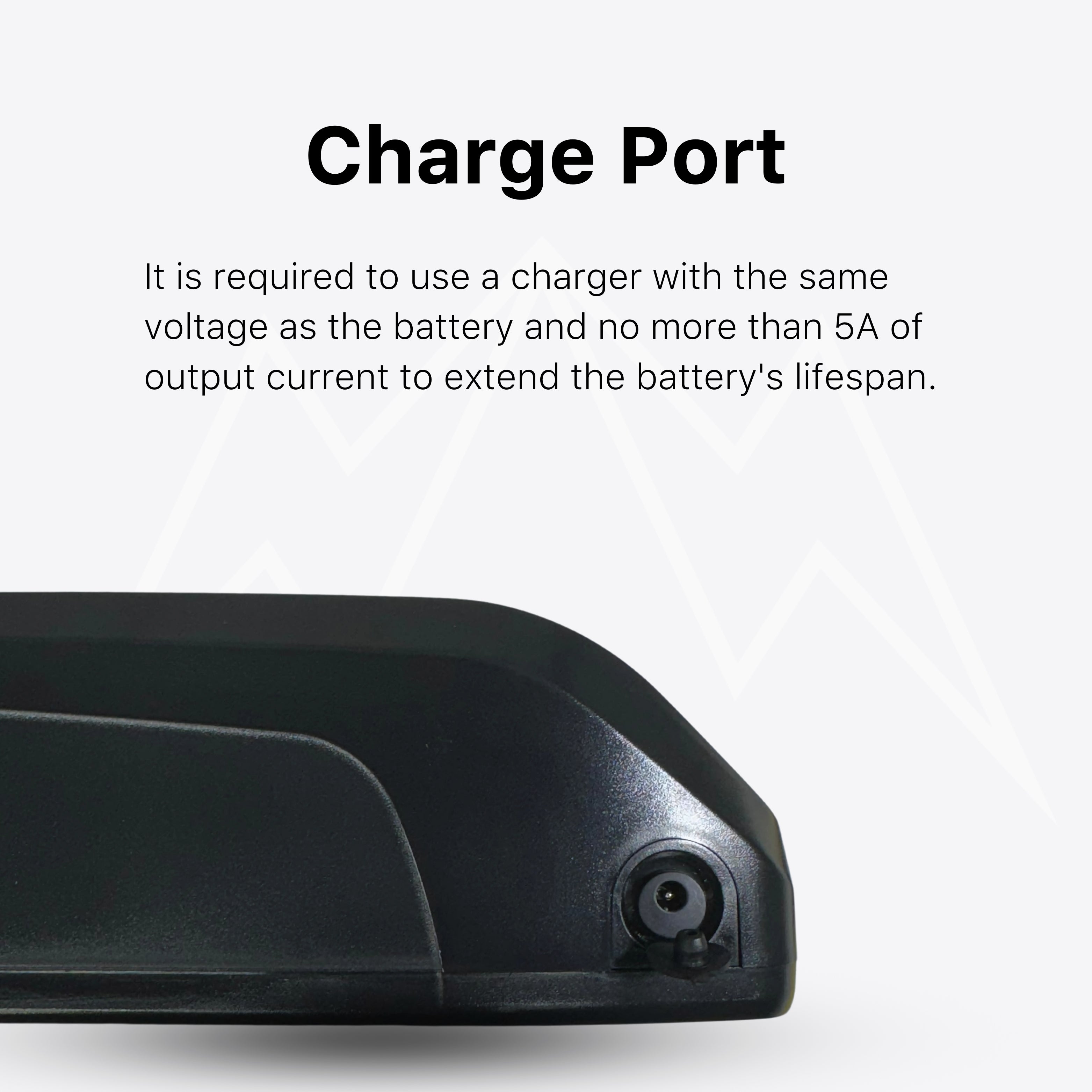 Rad Power Gen 1 Battery Pack