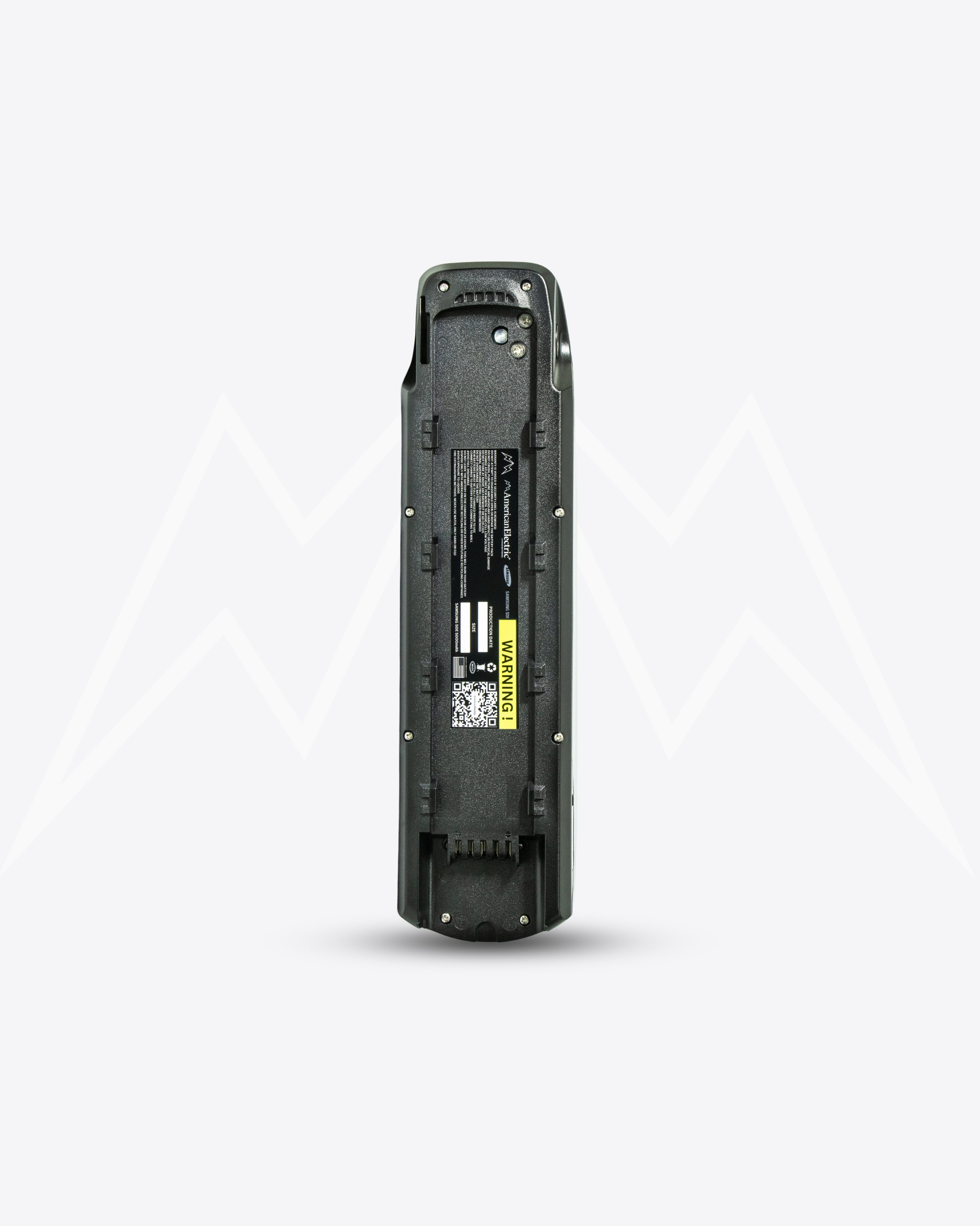 Tesway X5 Battery Pack