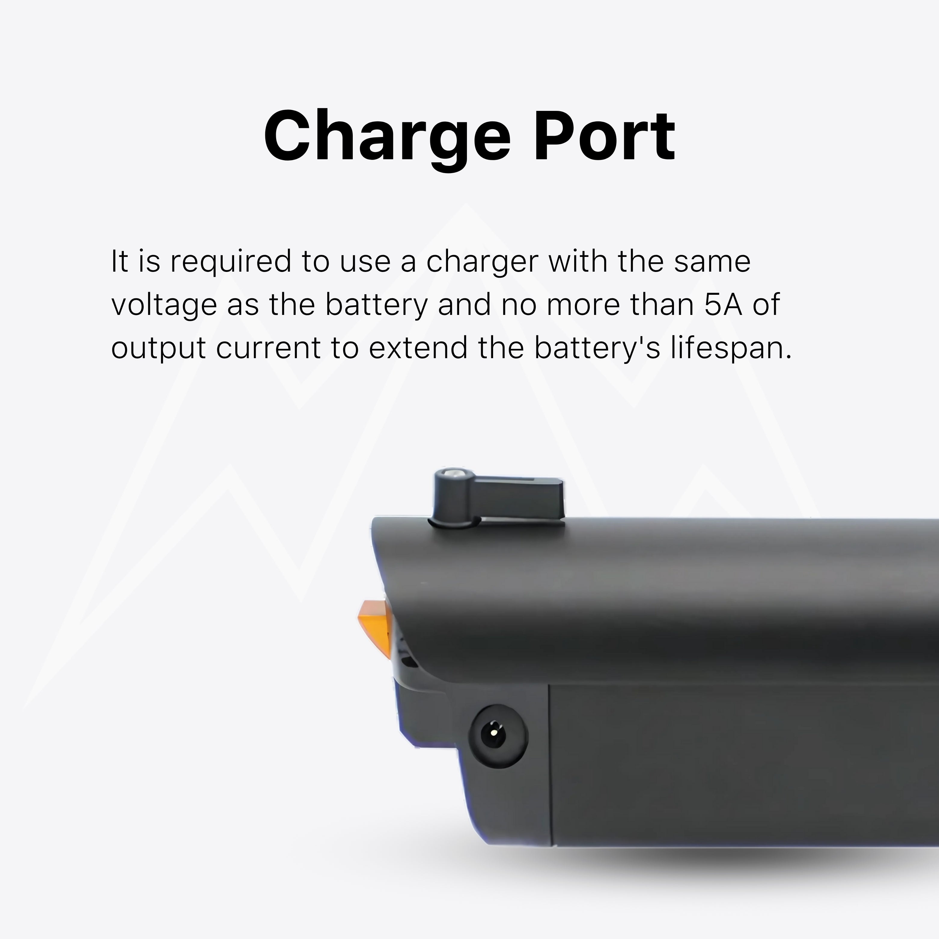Bee IB-U Battery Case
