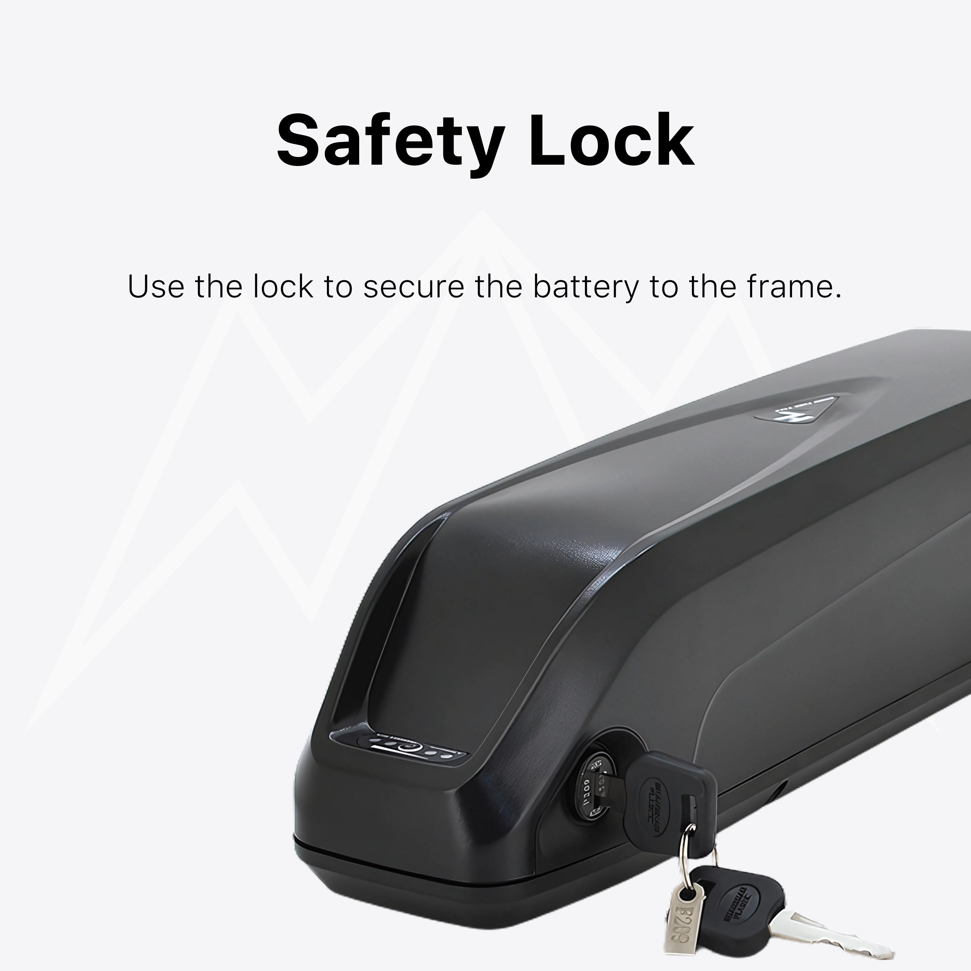 Ecotric Cheetah Battery Pack