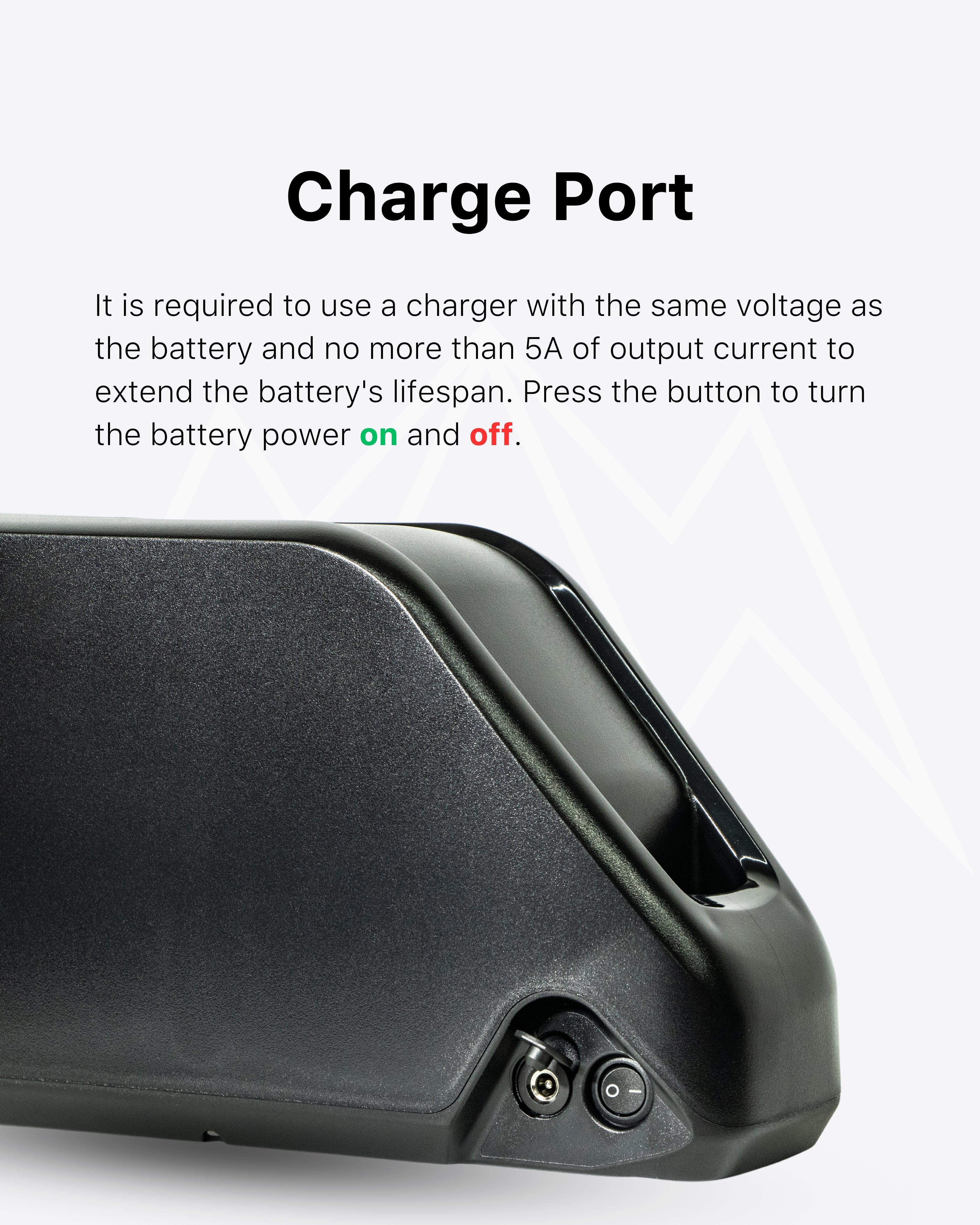 Tesway X5 Battery Pack