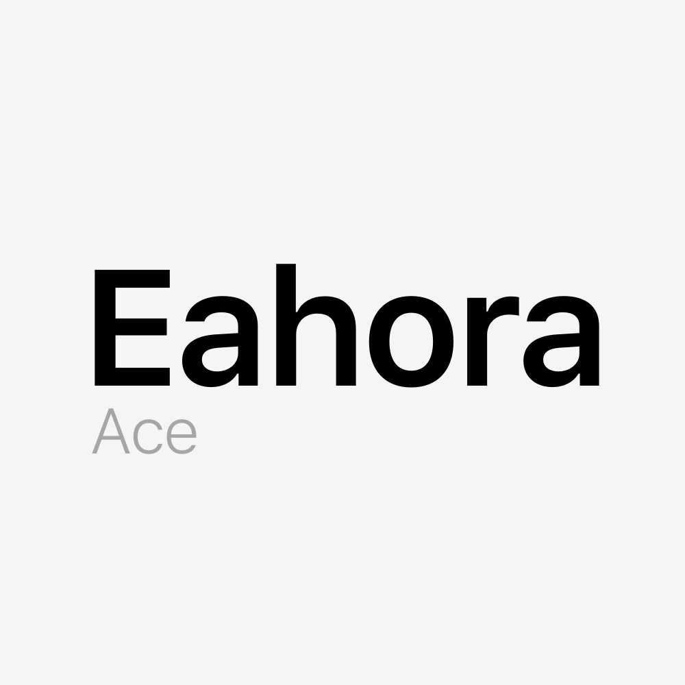 Eahora Ace Battery Pack
