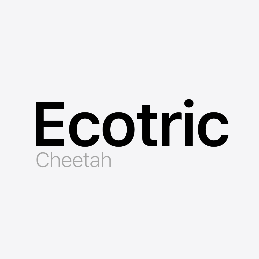 Ecotric Cheetah Battery Pack