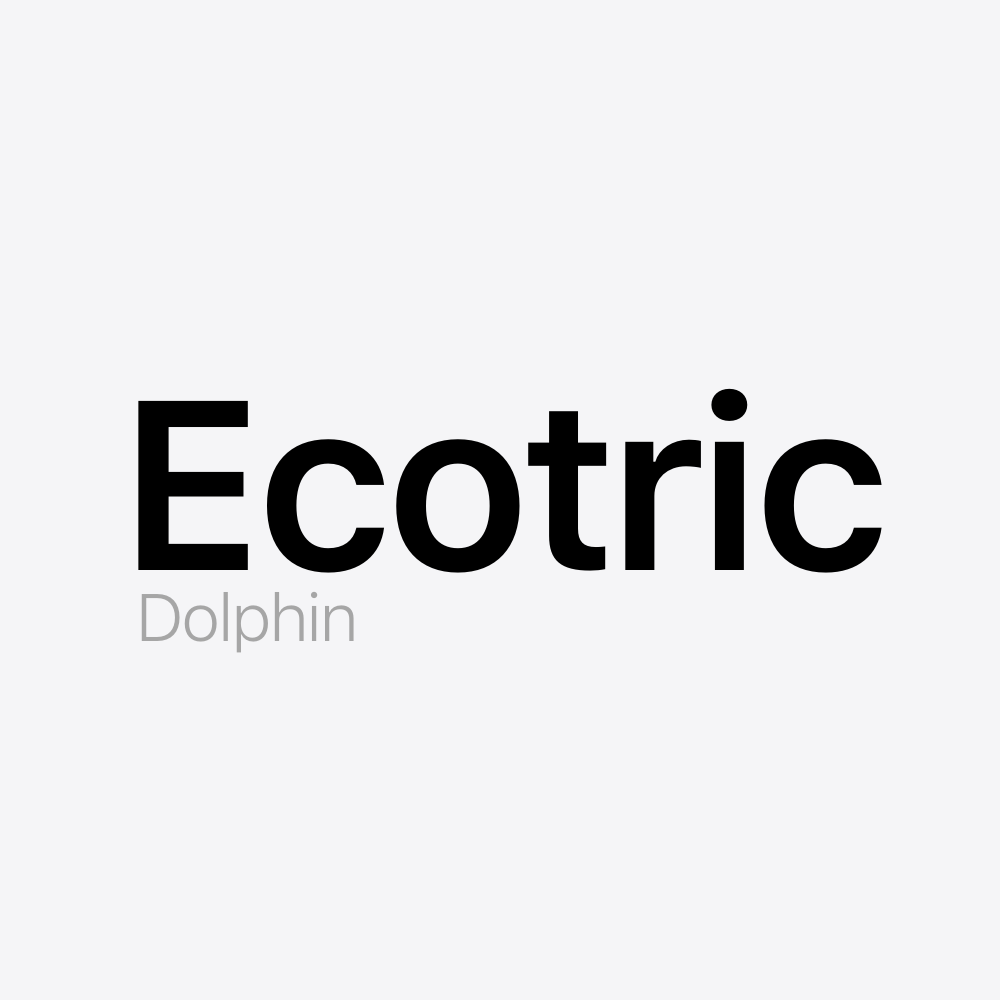 Ecotric Dolphin Battery Pack