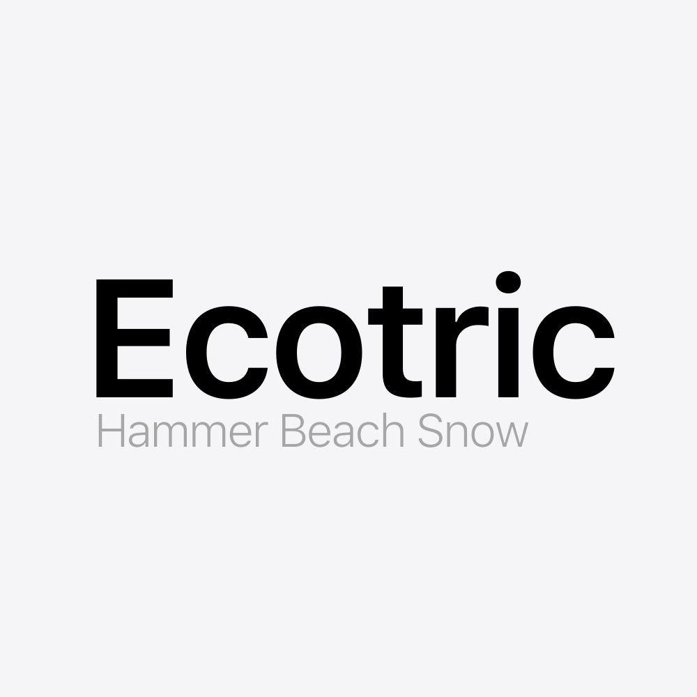 Ecotric Hammer Beach Snow Battery Pack