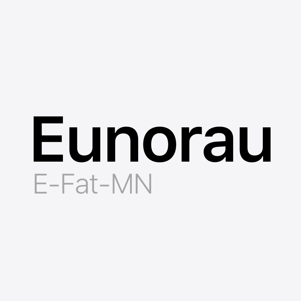 Eunorau E-Fat-MN Battery Pack