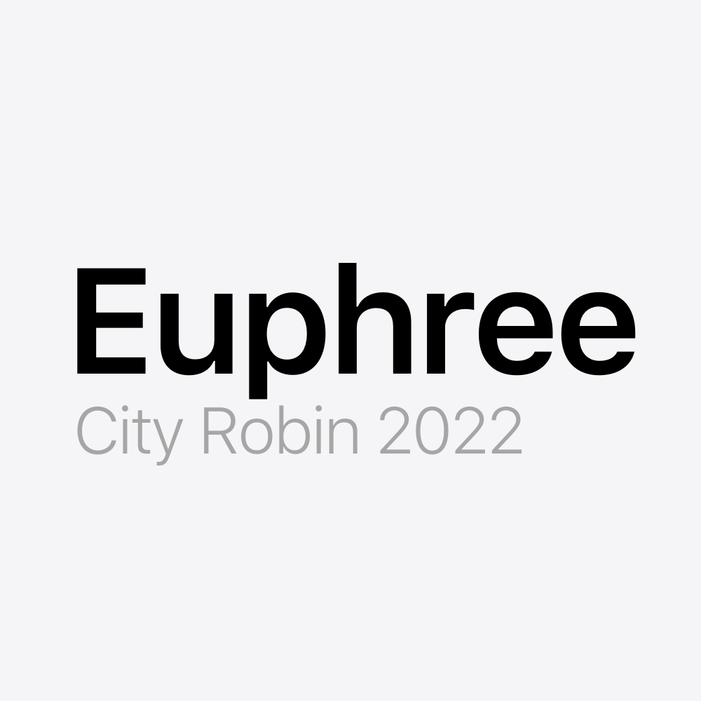Euphree City Robin 2022 Battery Pack