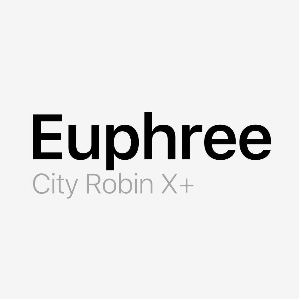 Euphree City Robin X+ Battery Pack