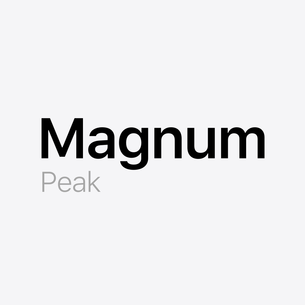 Magnum Peak Battery Pack