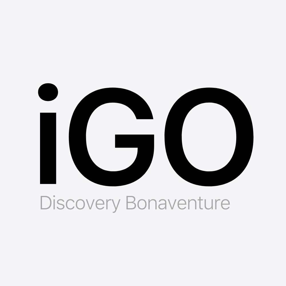 Igo Discovery Bonaventure Battery Pack
