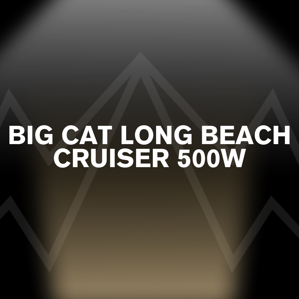 BIG CAT LONG BEACH CRUISER 500W Battery Pack