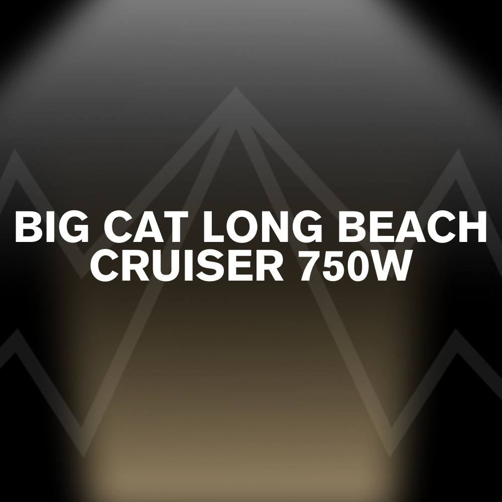 BIG CAT LONG BEACH CRUISER 750W Battery Pack