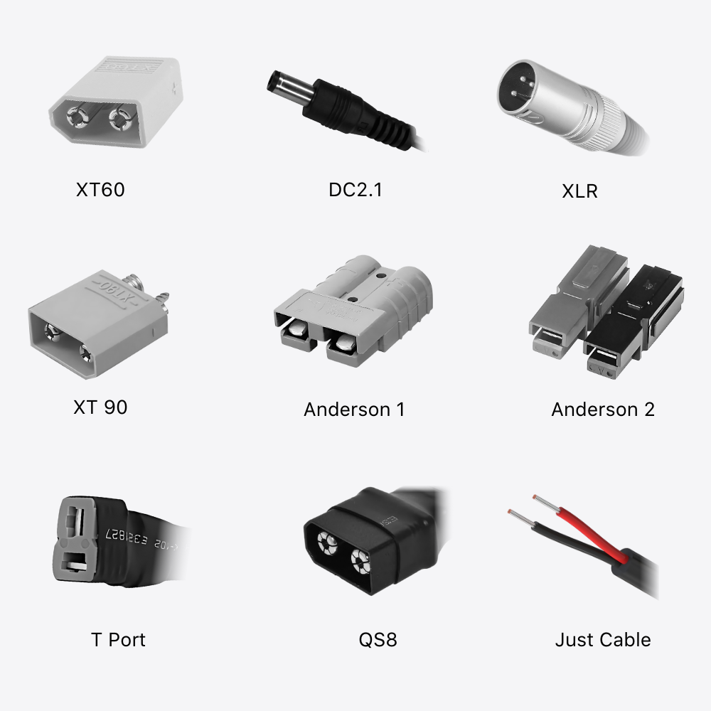 Lithium Ion Smart Charger