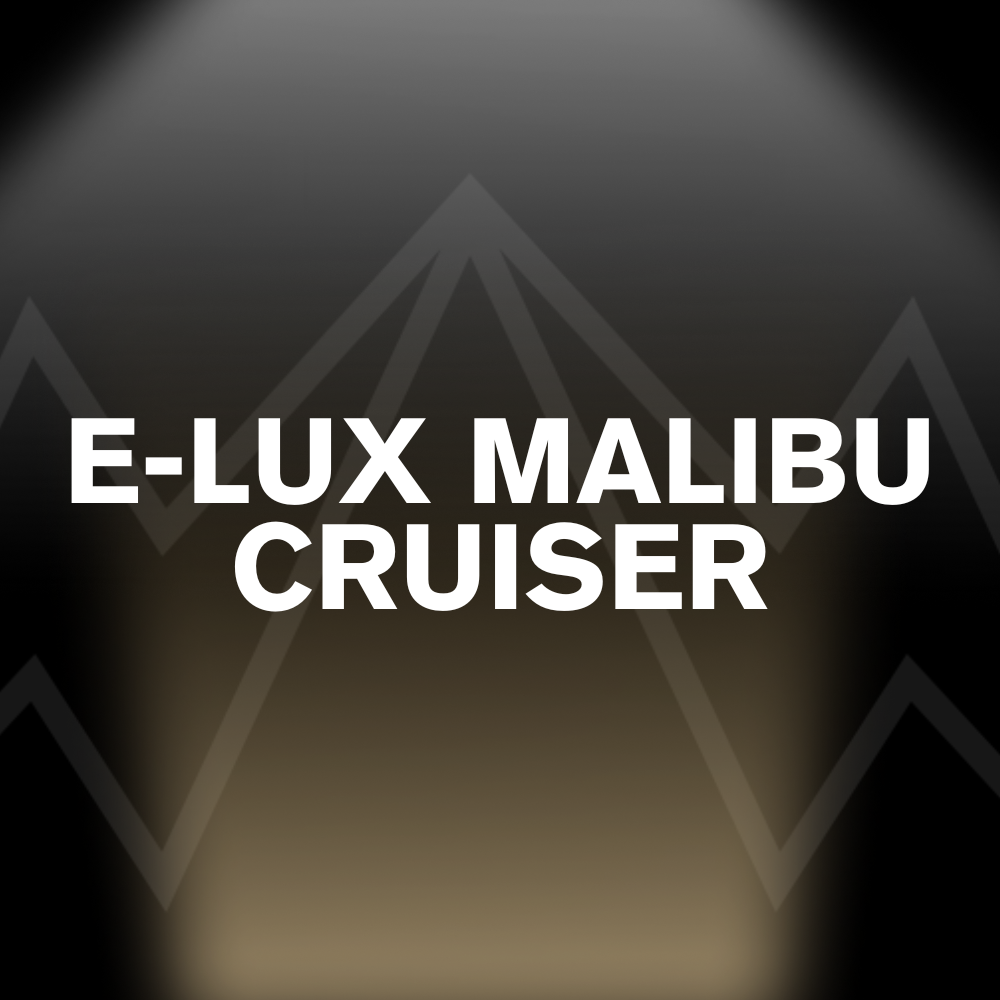 E-LUX MALIBU CRUISER Battery Pack