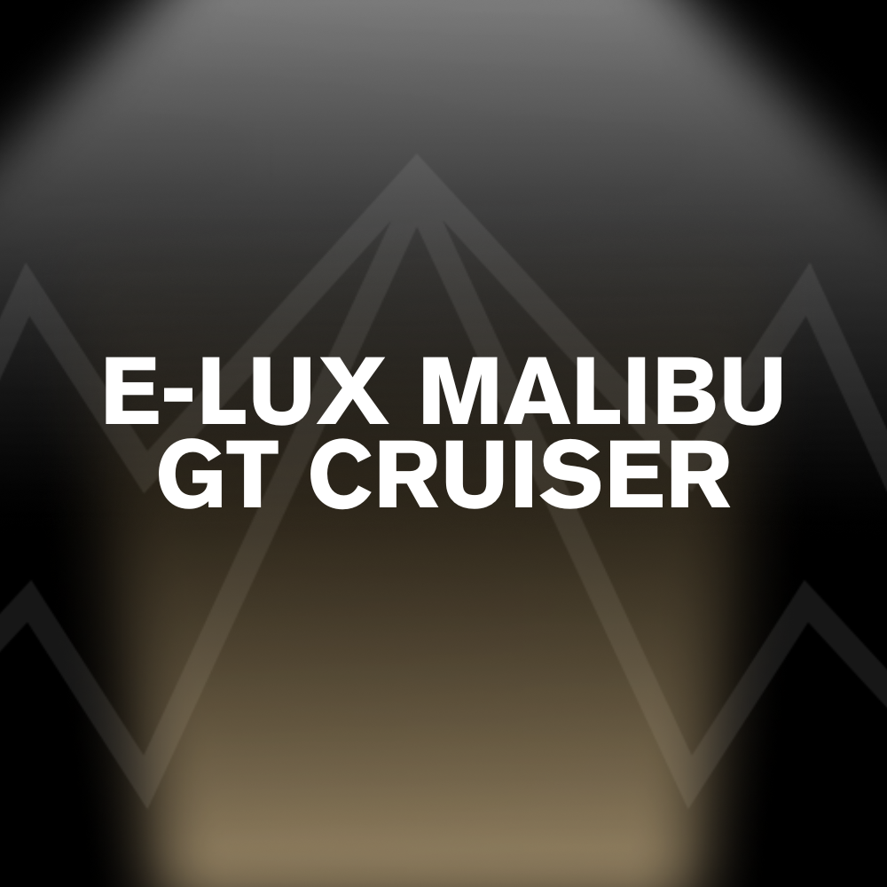 E-LUX MALIBU GT CRUISER Battery Pack