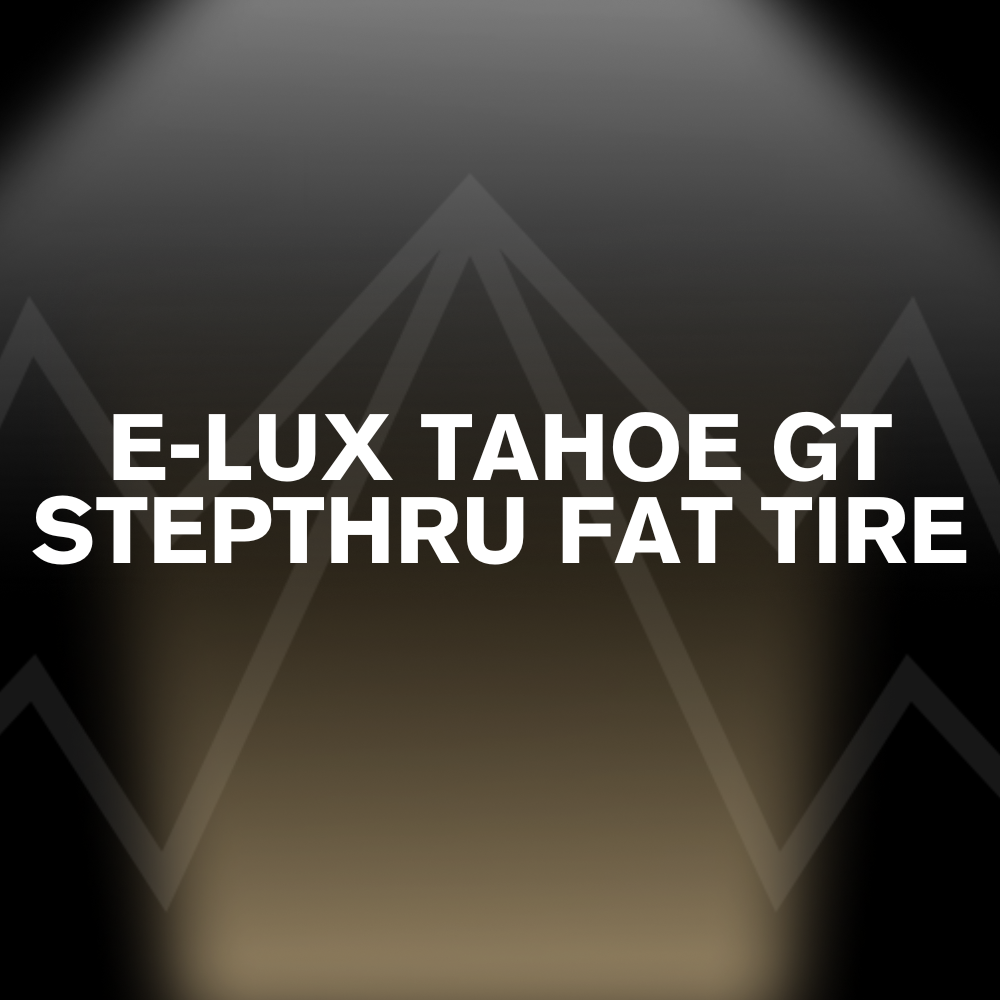E-LUX TAHOE GT STEPTHRU FAT TIRE Battery Pack