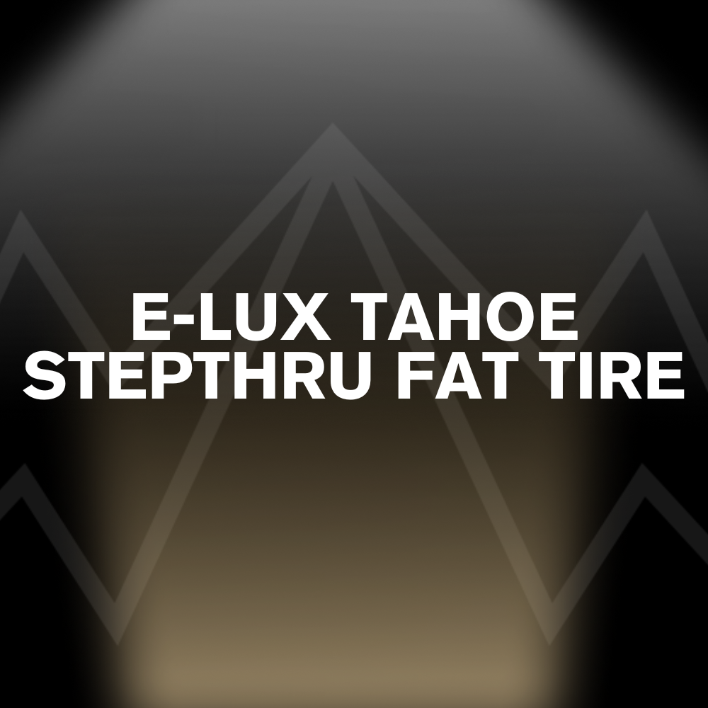 E-LUX TAHOE STEPTHRU FAT TIRE Battery Pack