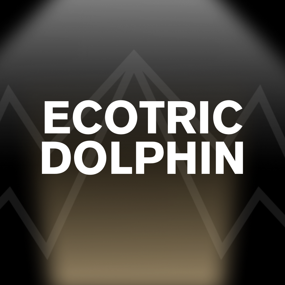 ECOTRIC DOLPHIN Battery Pack