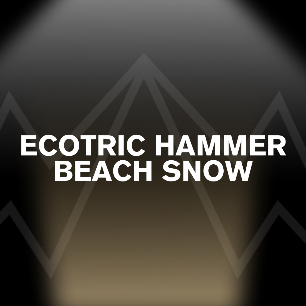 ECOTRIC HAMMER BEACH SNOW BATTERY PACK