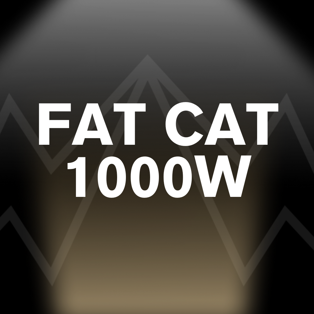 BIG CAT FAT CAT 1000W Battery Pack