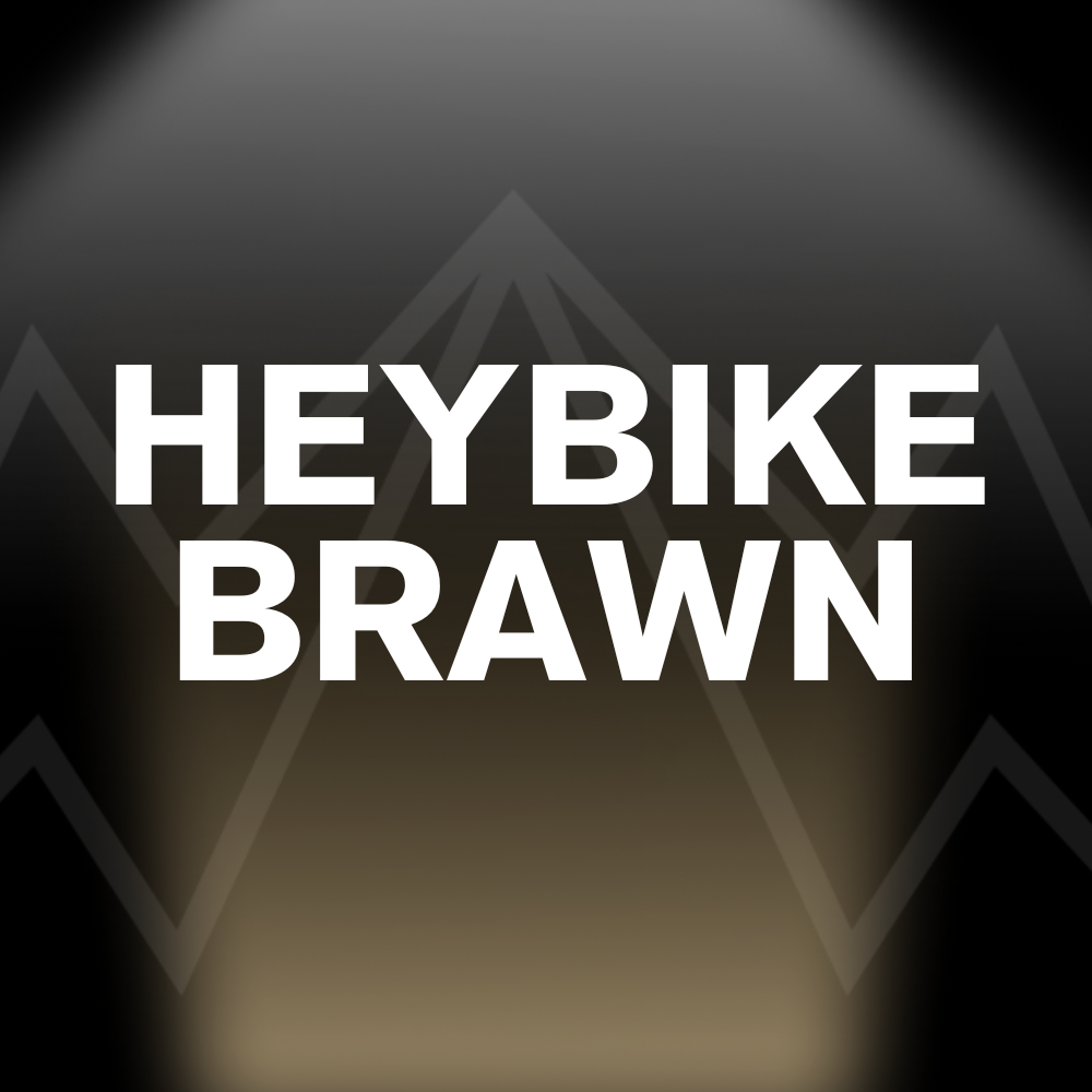 HEYBIKE BRAWN Battery Pack