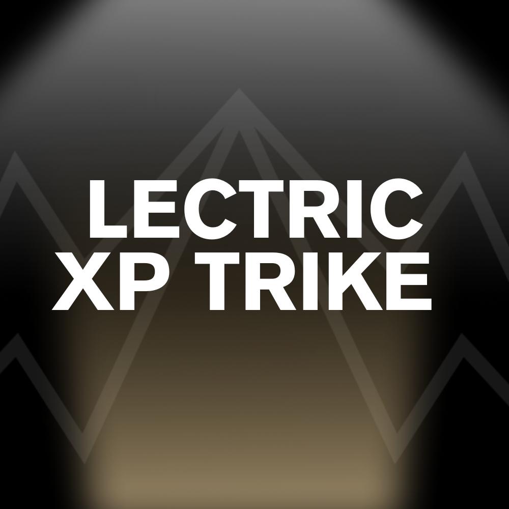 LECTRIC XP TRIKE Battery Pack