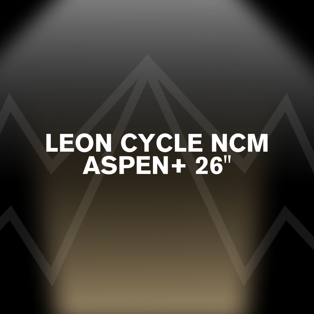 LEON CYCLE NCM ASPEN+ 26" Battery Pack