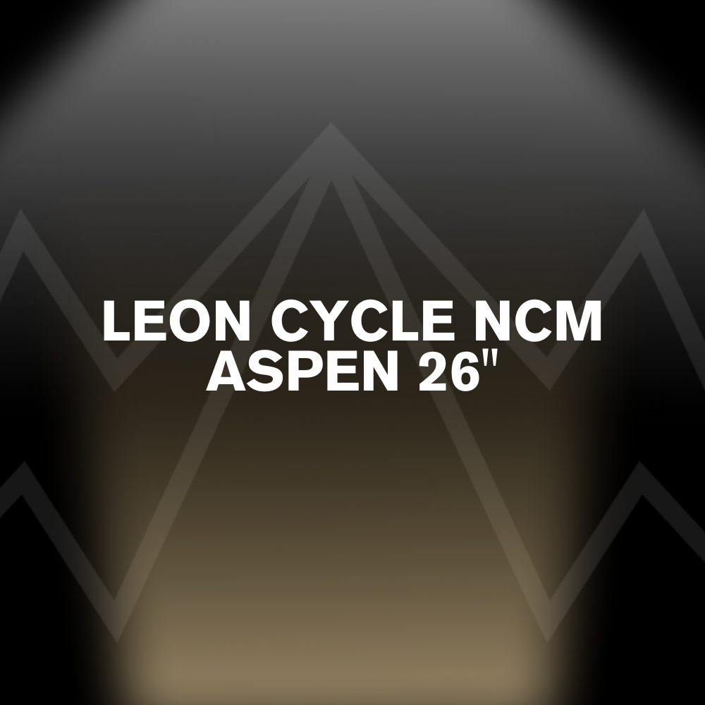 LEON CYCLE NCM ASPEN 26" Battery Pack