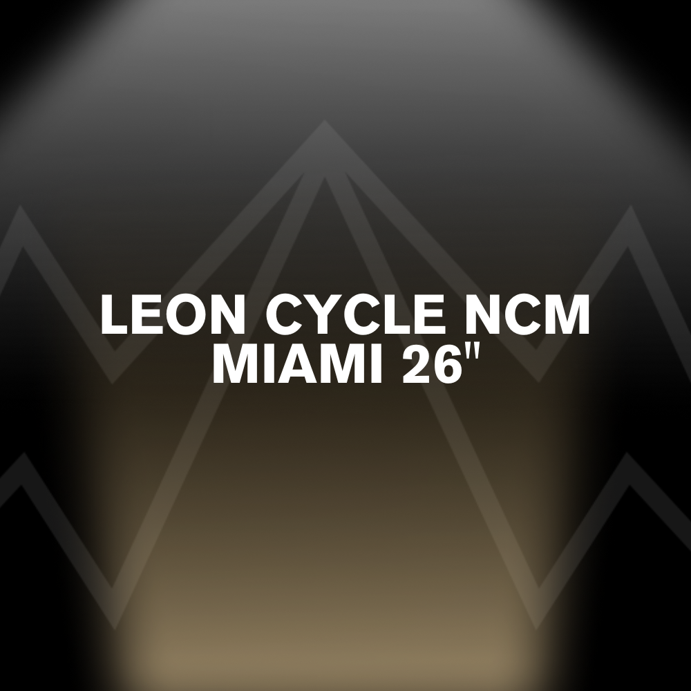 LEON CYCLE NCM MIAMI 26" Battery Pack