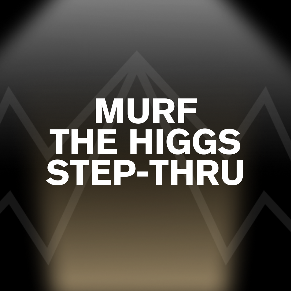 MURF THE HIGGS STEP-THRU Battery Pack