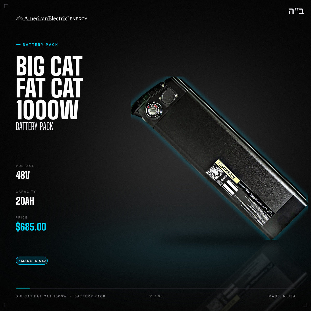 Big Cat Fat Cat 1000W Battery Pack: 48V 20AH battery pack, $685