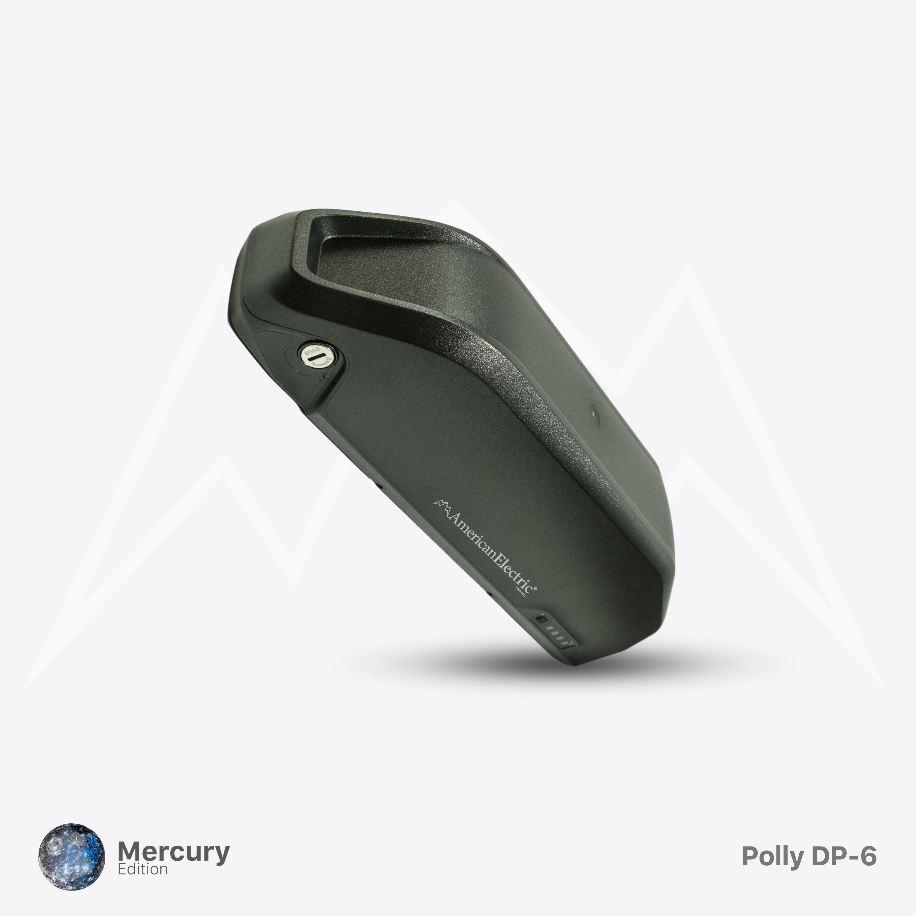 Polly DP-6 Battery Case