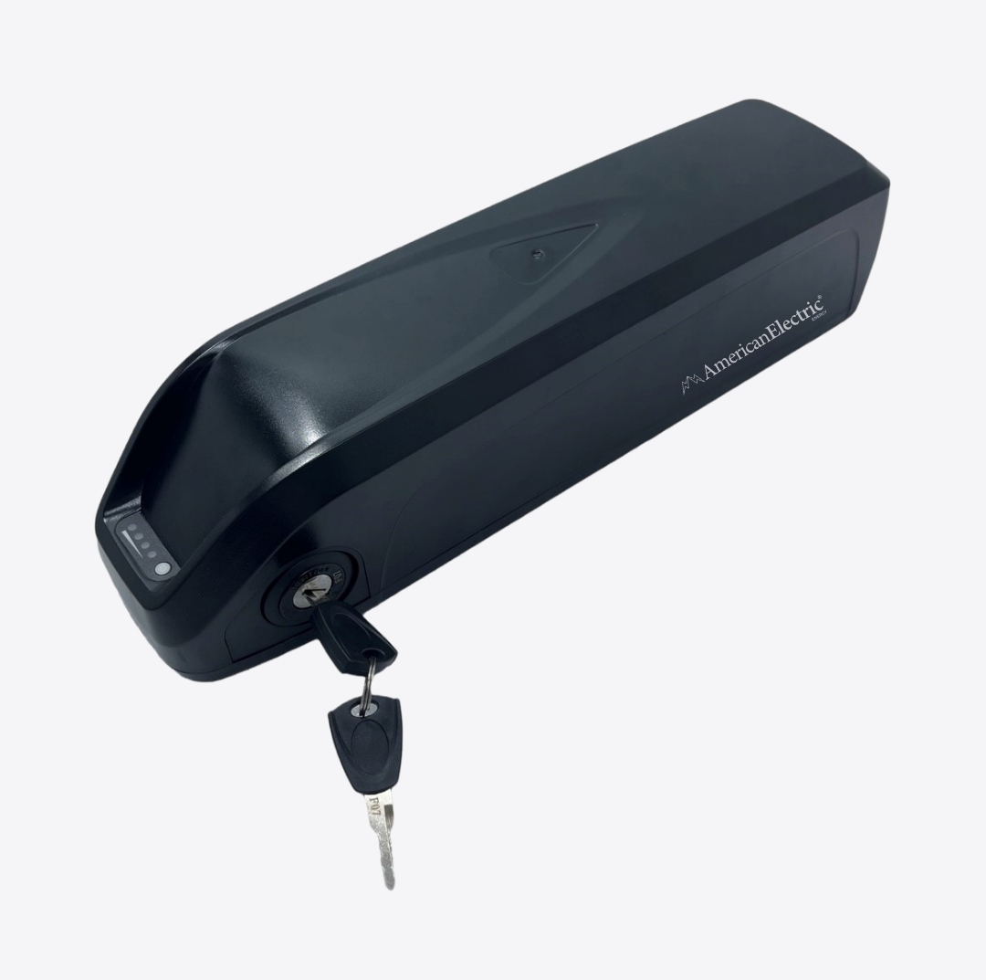 Rad power battery 2025