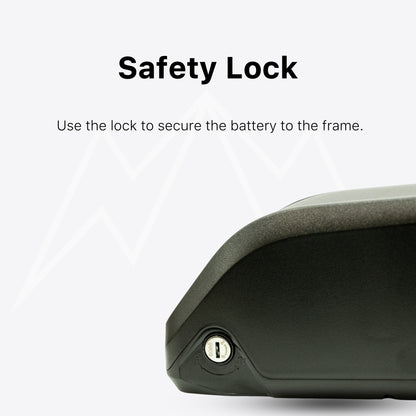 Tesway S5 Battery Pack