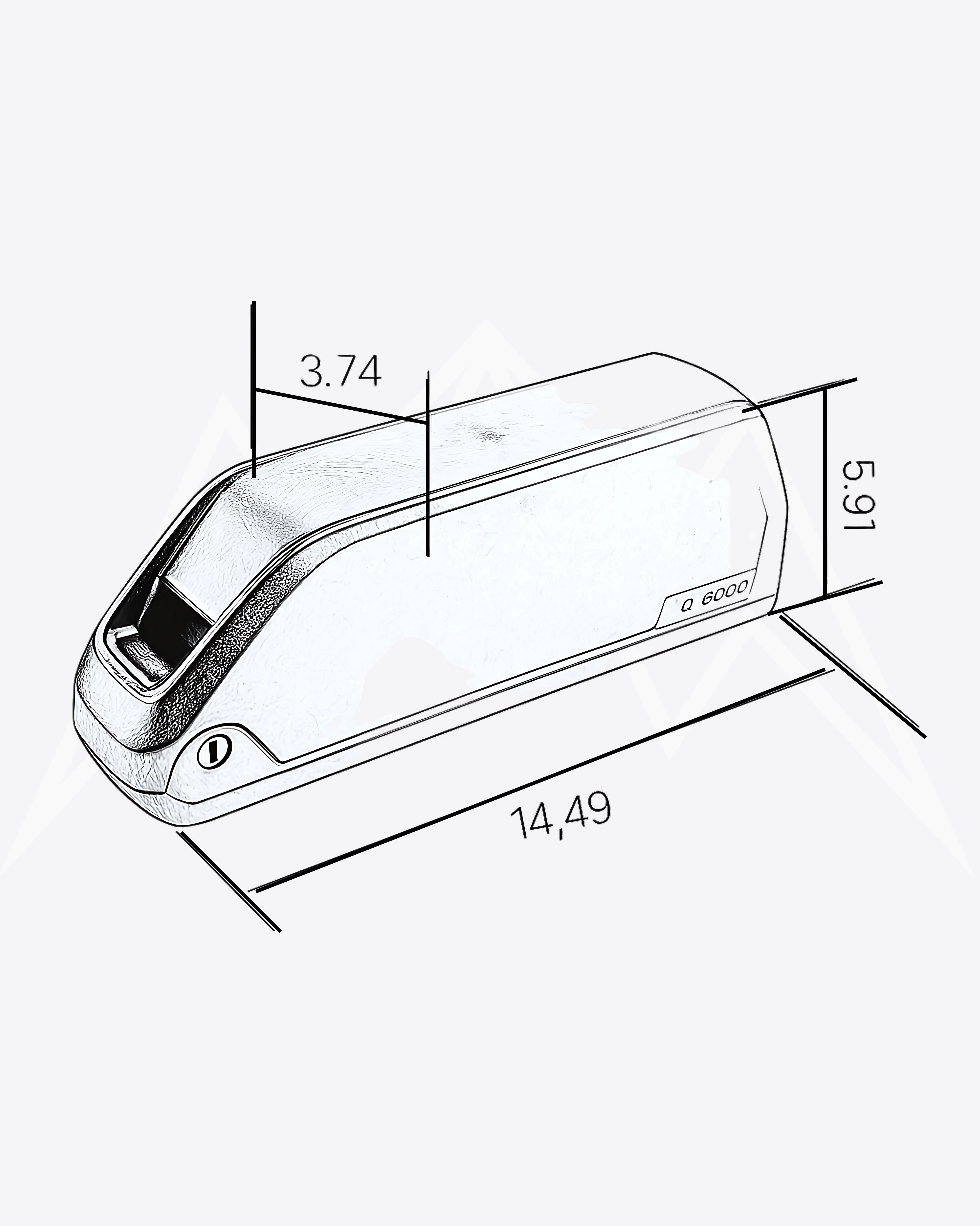 Tesway X5 Battery Pack
