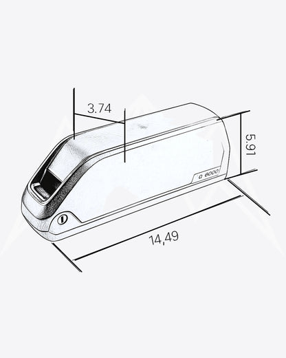 Tesway X5 Battery Pack
