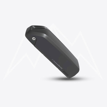 Tesway S5 Battery Pack