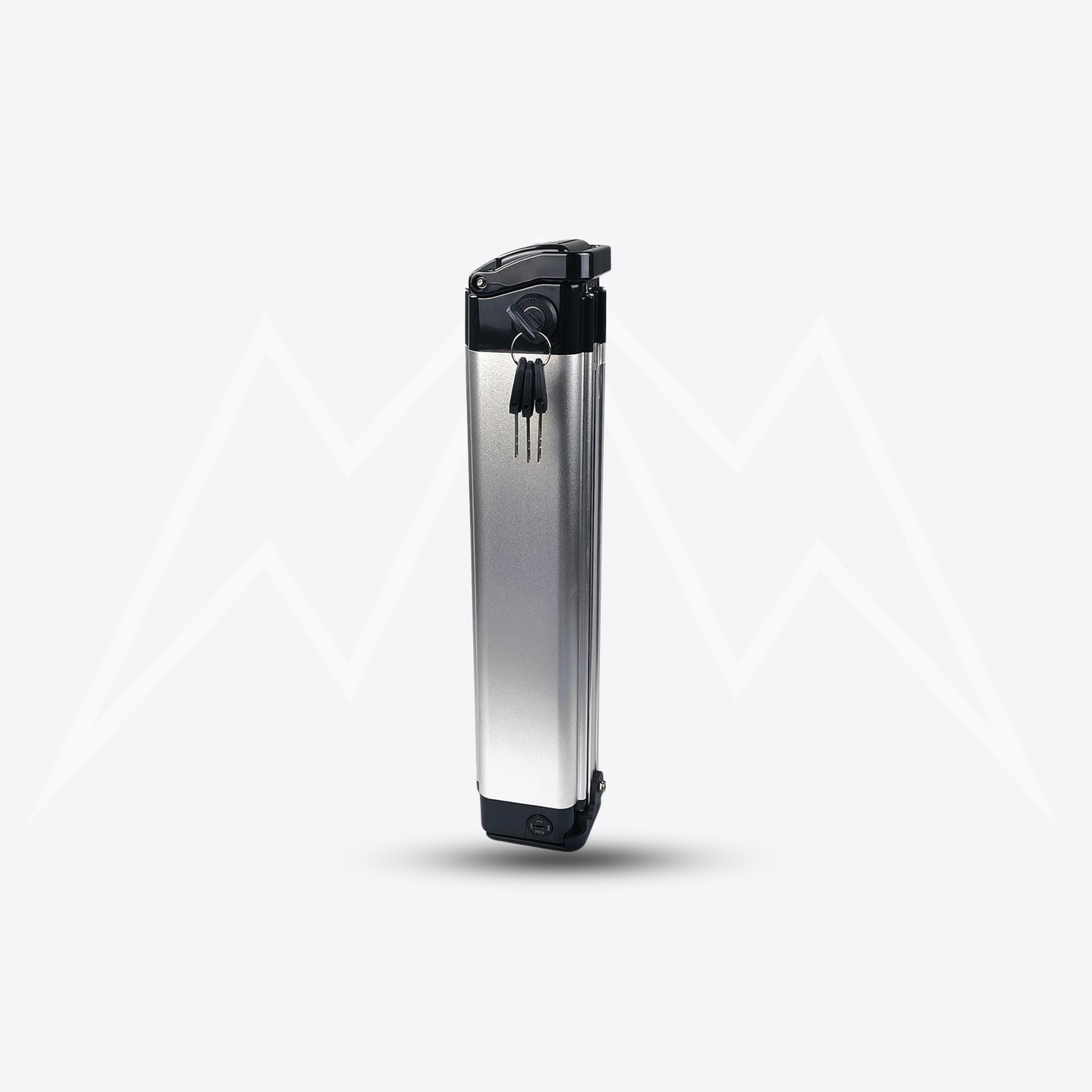 Ecotric Starfish Battery Pack