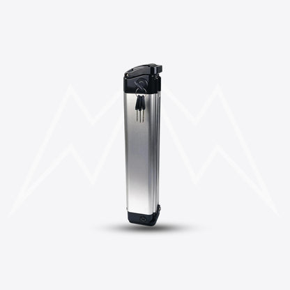 Ecotric Starfish Battery Pack