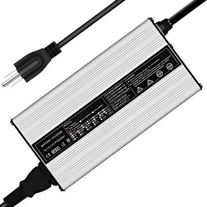 24V 5A Lithium Ion Smart Charger