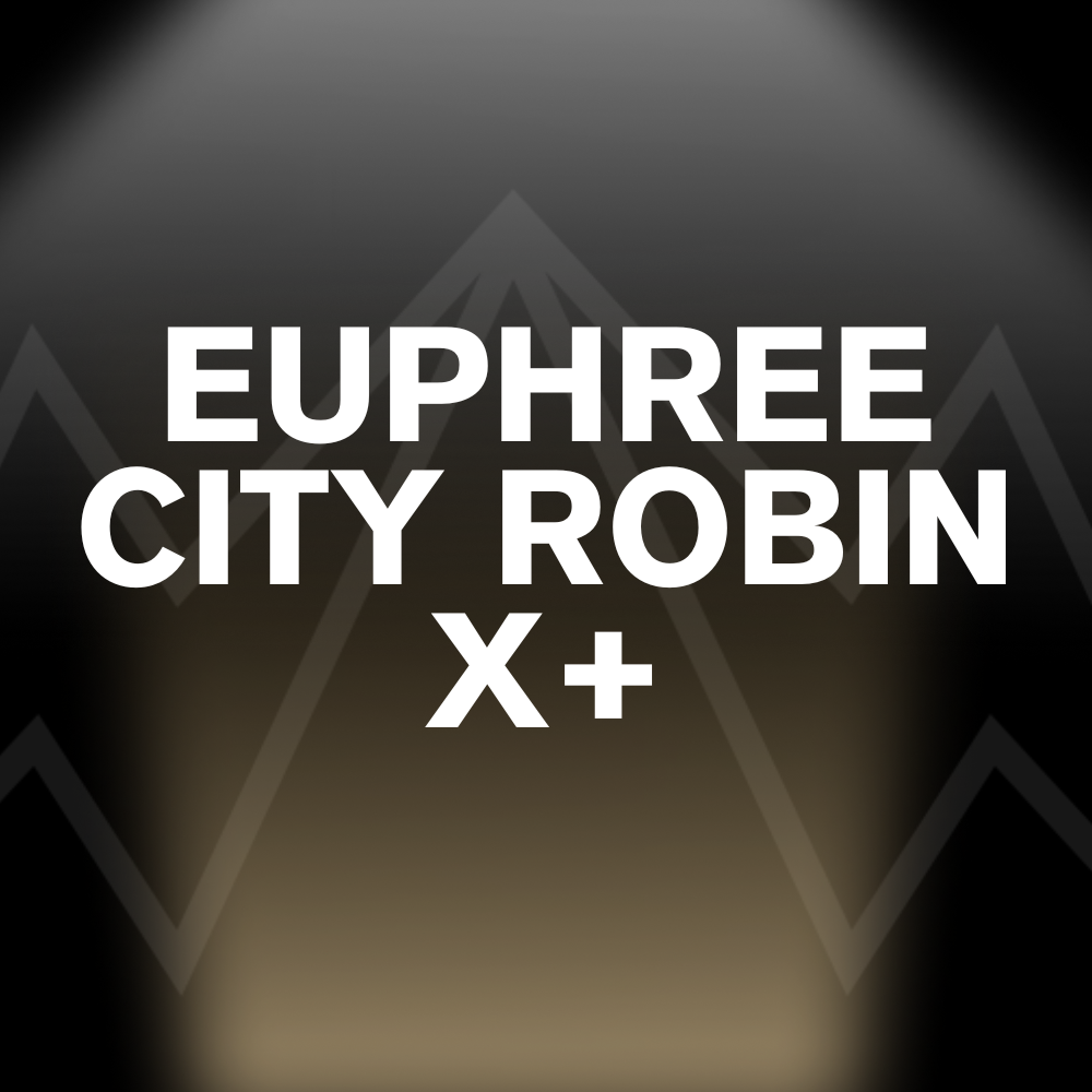 EUPHREE CITY ROBIN X+ Battery Pack