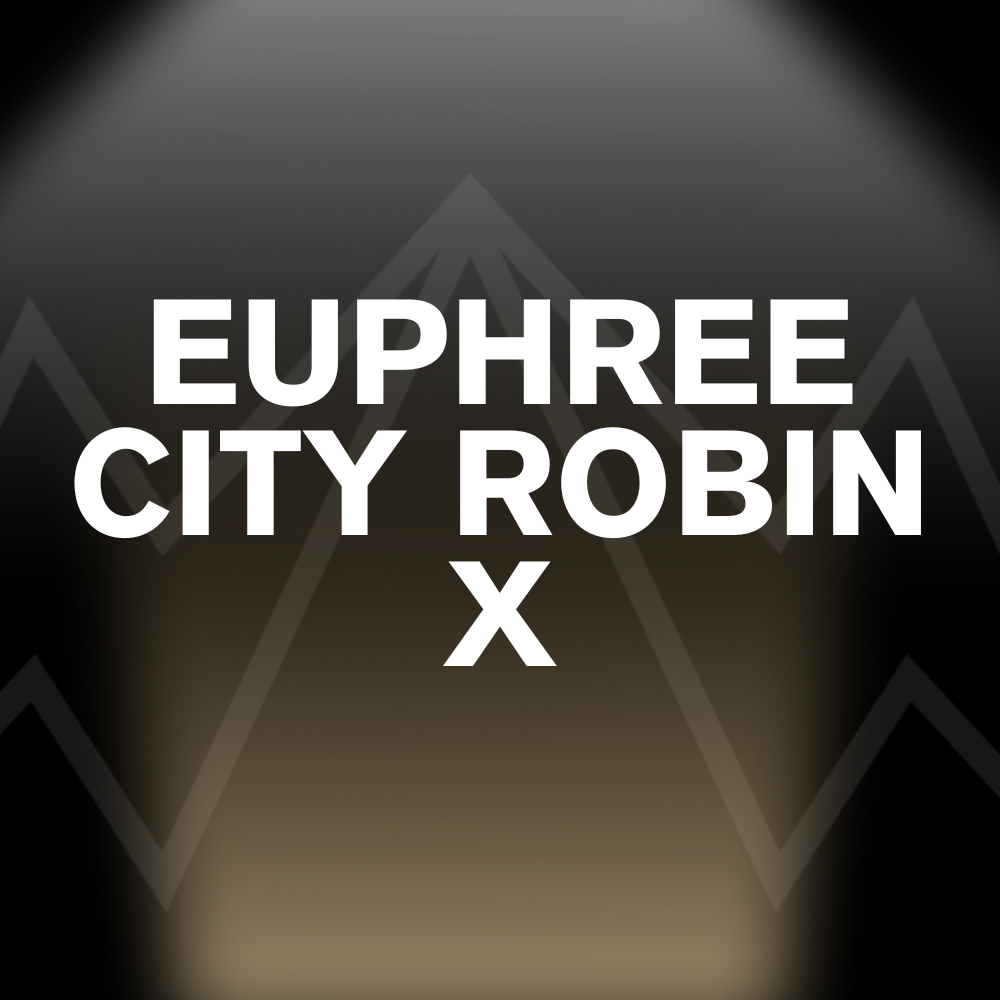 EUPHREE CITY ROBIN X Battery Pack