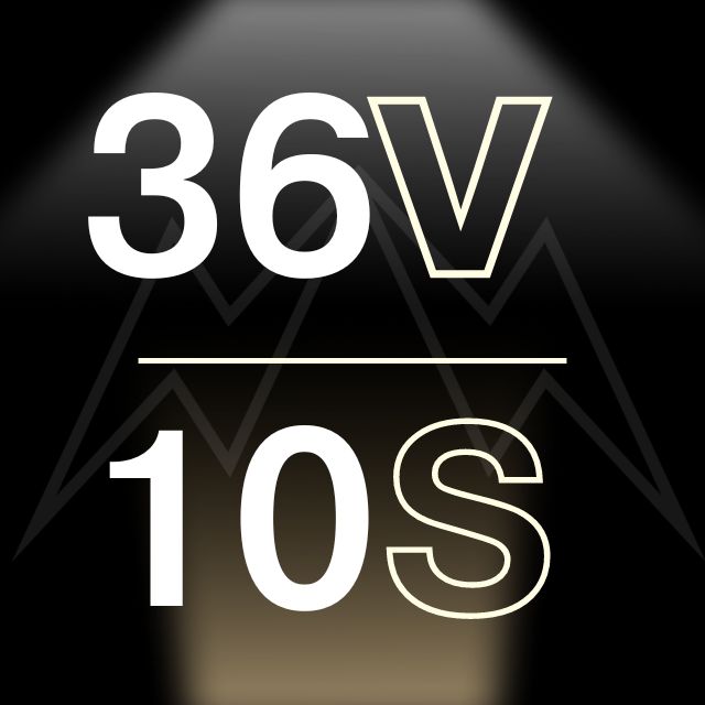 36V 10S LITHIUM-ION BATTERY PACK